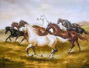 unknow artist Horses 015 Spain oil painting artist